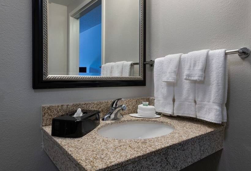 Suite, Courtyard By Marriott Dallas Arlington Entertainment District