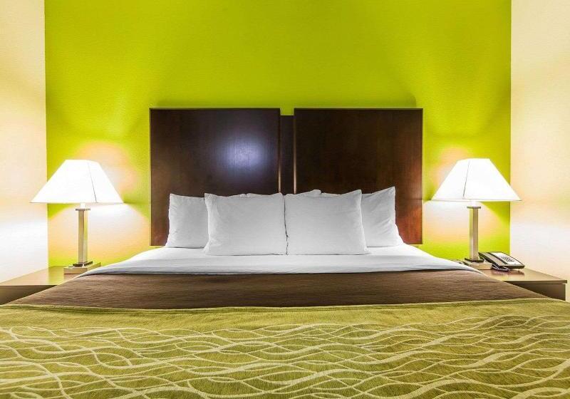 带大床的标准间, Ac Hotel By Marriott Orlando Lake Buena Vista