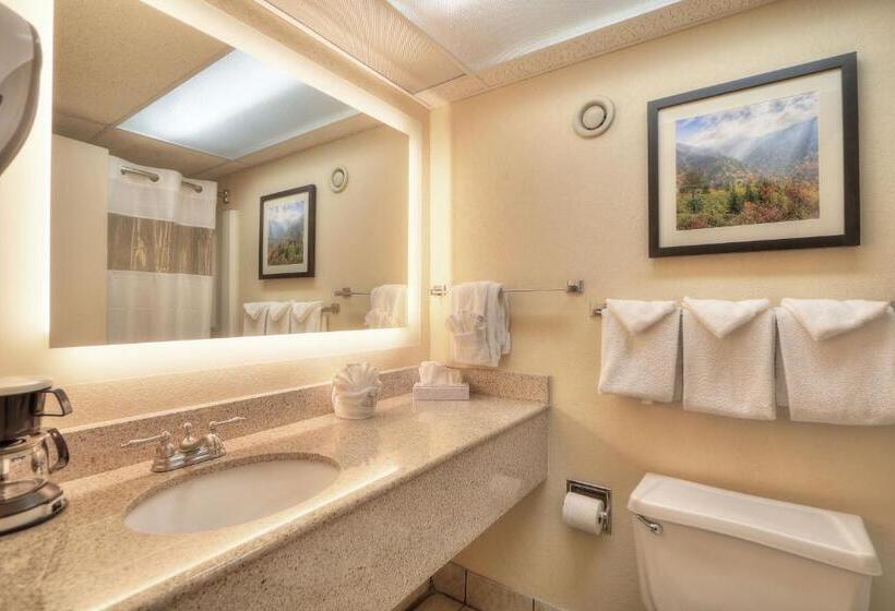 غرفة قياسية, Edgewater Hotel And Conference Center