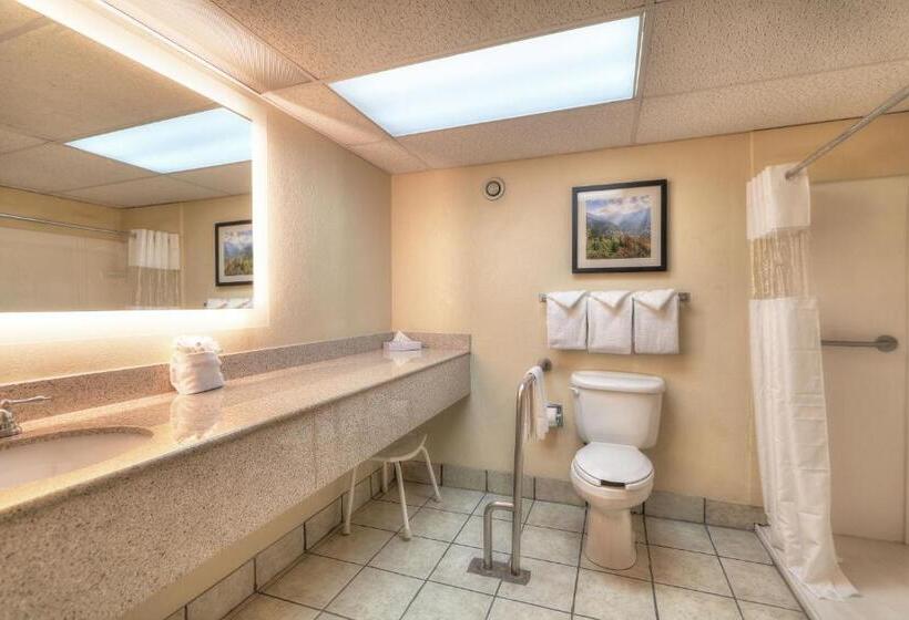غرفة قياسية سرير كينج, Edgewater Hotel And Conference Center