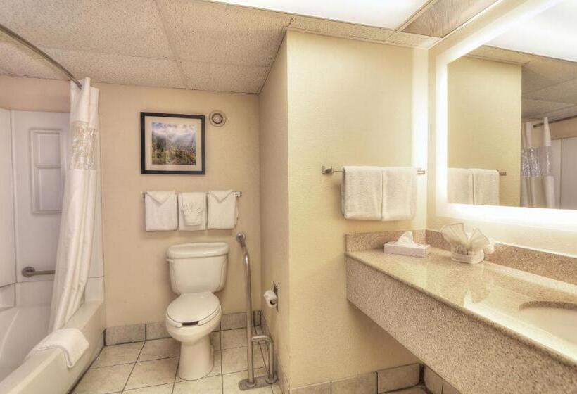 غرفة قياسية سرير كينج, Edgewater Hotel And Conference Center