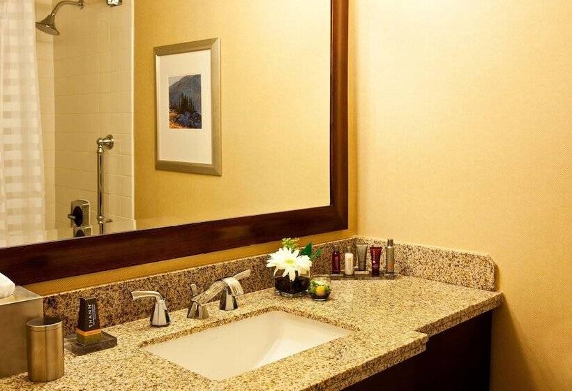 스탠다드 룸 더블 침대 2개, Denver Marriott West