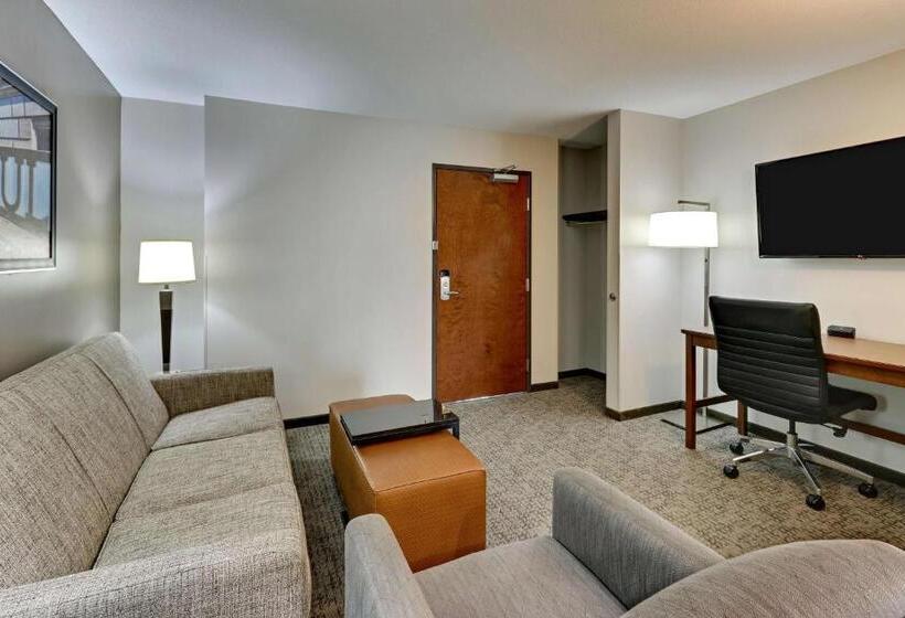 Люкс Deluxe Кровать Кинг, Drury Plaza Hotel St. Paul Downtown