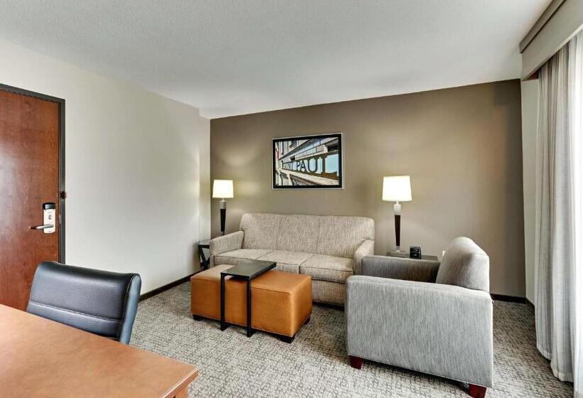 Люкс Адаптированный для Инвалидов, Drury Plaza Hotel St. Paul Downtown