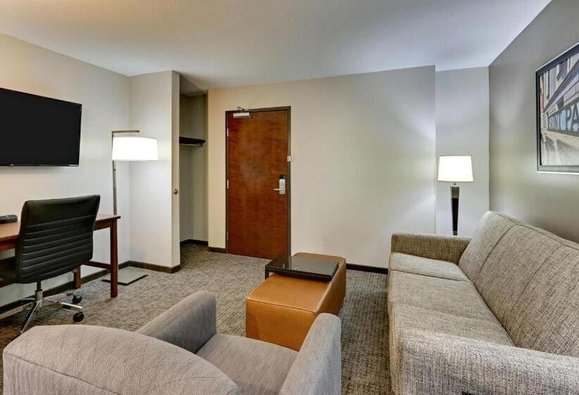 Люкс, Drury Plaza Hotel St. Paul Downtown