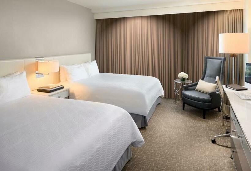 标准间, Fontainebleau Miami Beach