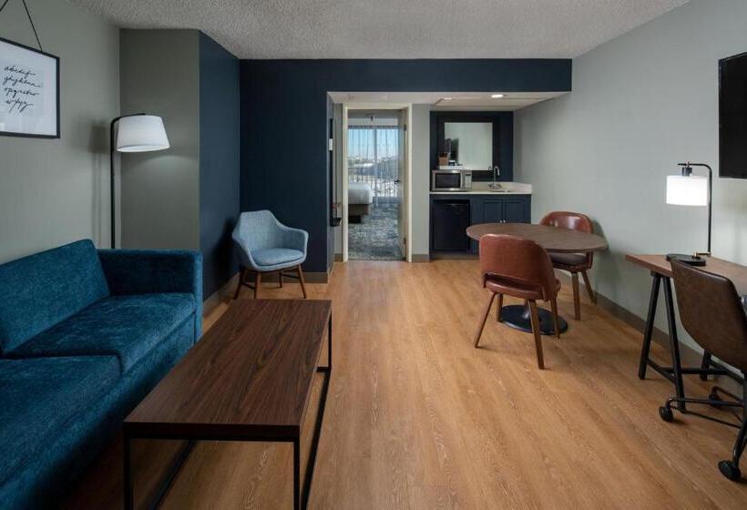 סוויטה מותאמת לאדם עם מוגבלויות, Four Points By Sheraton Suites Tampa Airport Westshore