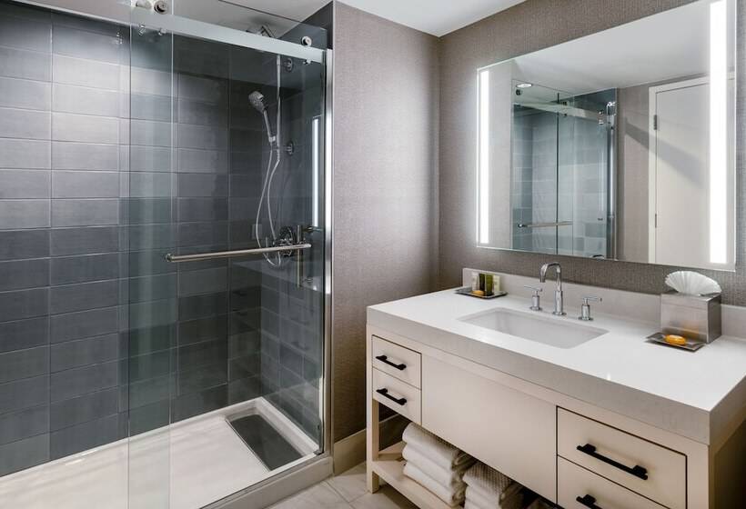 Studio Standard Łóżko Małżeńskie, Hilton Dallas Lincoln Centre