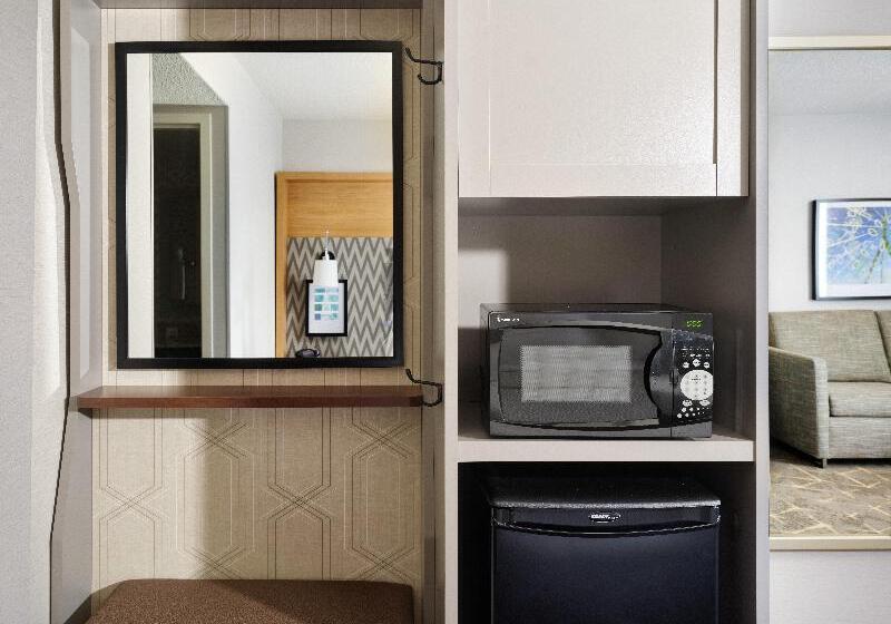 스탠다드 룸 킹사이즈 침대, Holiday Inn Boston   Dedham Hotel & Conference Center By Ihg