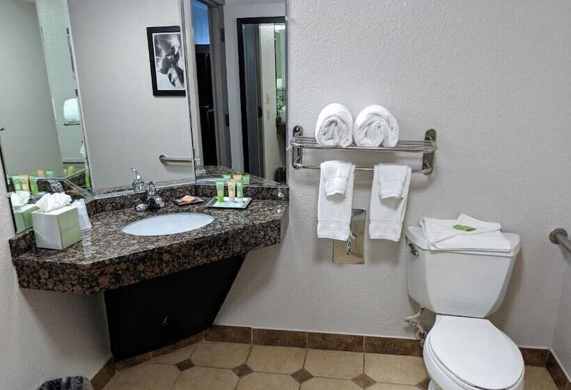 디럭스 스위트, Wyndham Garden Charlotte Airport Southeast