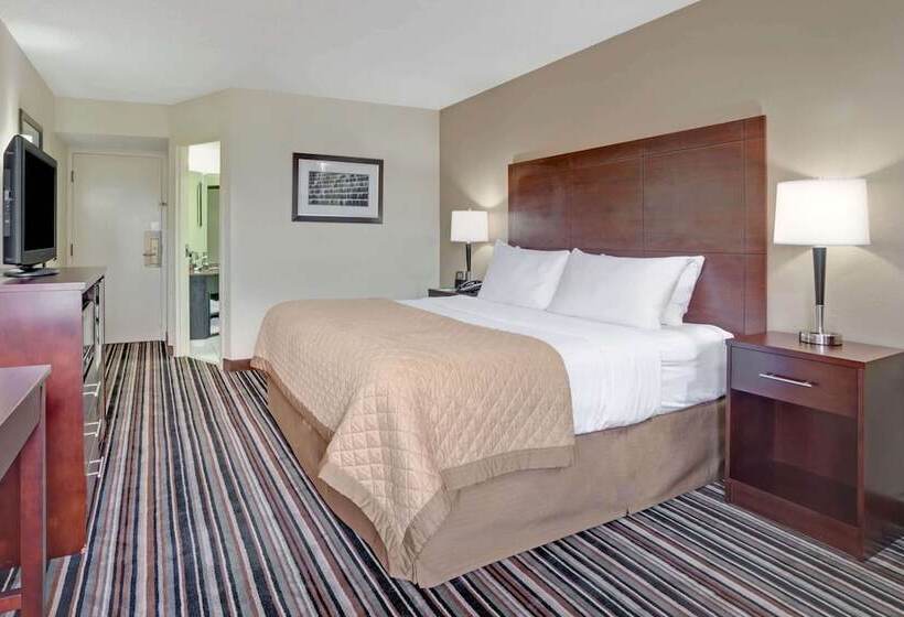 스위트, Wyndham Garden Charlotte Airport Southeast