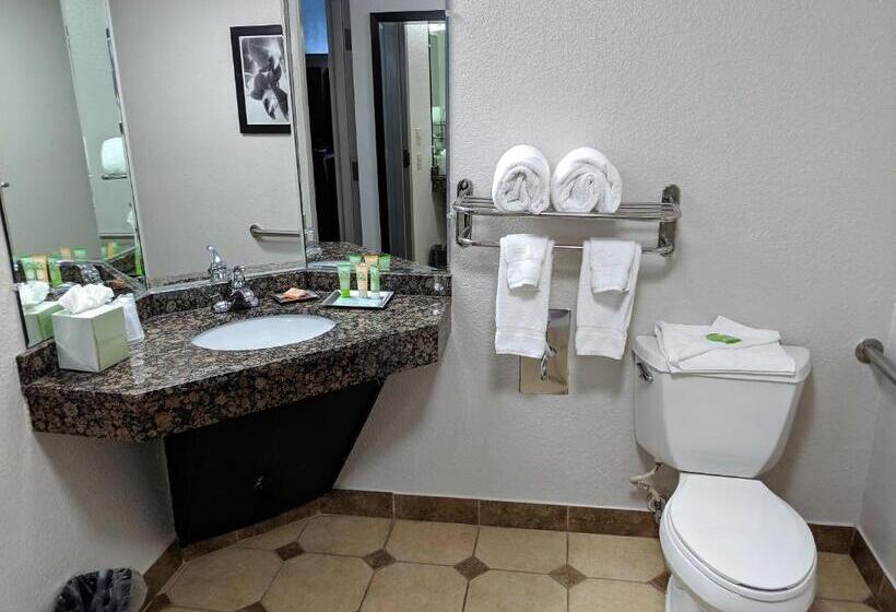 디럭스 스위트, Wyndham Garden Charlotte Airport Southeast