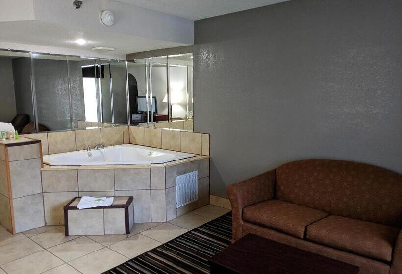 디럭스 스위트, Wyndham Garden Charlotte Airport Southeast