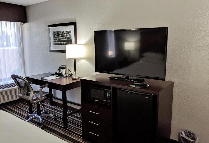 스탠다드 룸 킹사이즈 침대, Wyndham Garden Charlotte Airport Southeast