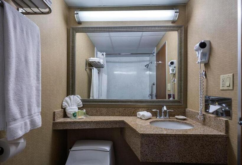 行政房间, Holiday Inn New Orleans Downtown Superdome, An Ihg