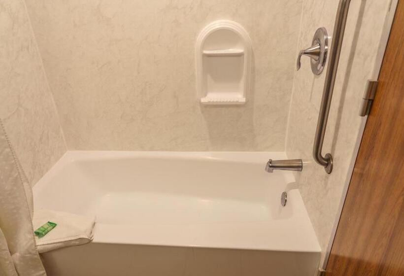 이그제큐티브 룸, Holiday Inn New Orleans Downtown Superdome, An Ihg