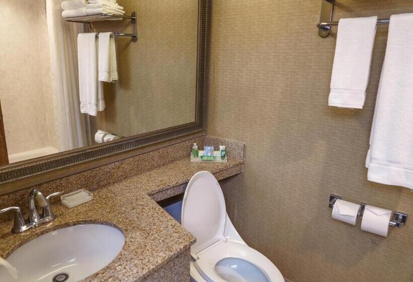 장애인을 위한 킹사이즈 침대 스탠다드 룸, Holiday Inn New Orleans Downtown Superdome, An Ihg
