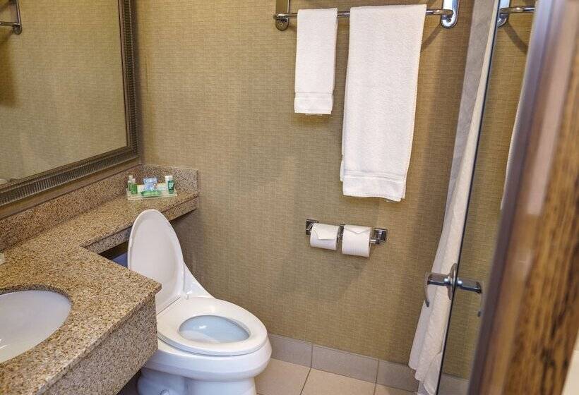 标准间, Holiday Inn New Orleans Downtown Superdome, An Ihg