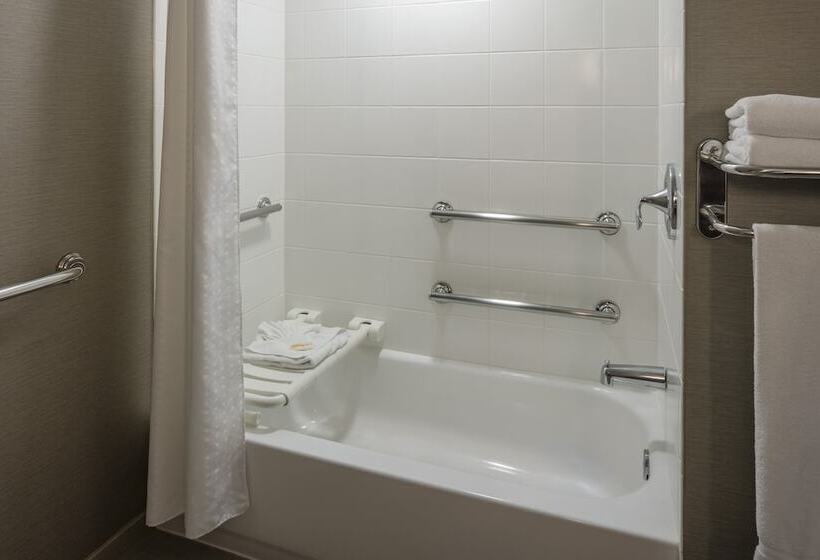 장애인을 위한 스탠다드 룸, Holiday Inn New Orleans Downtown Superdome, An Ihg
