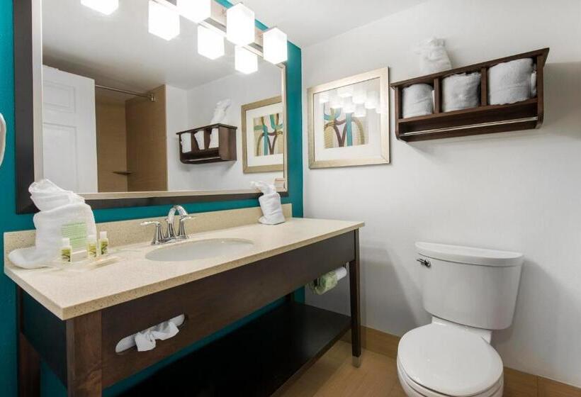 Номер Стандарт, Delta Hotels By Marriott West Palm Beach