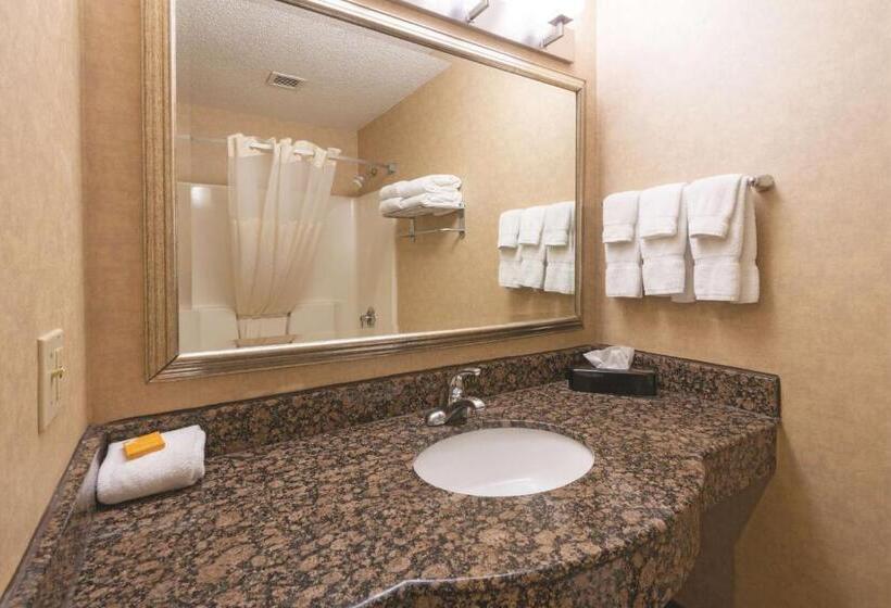 Стандартный Номер Кровать Кинг, La Quinta Inn By Wyndham Buffalo Airport
