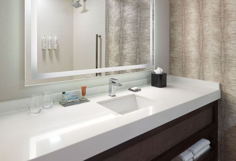 Chambre Standard 2 Lits Doubles, Chattanooga Marriott Downtown