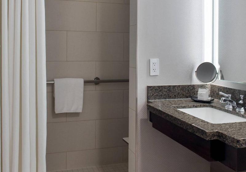 اتاق استاندارد با تخت بزرگ برای معلولان, Jw Marriott Washington, Dc