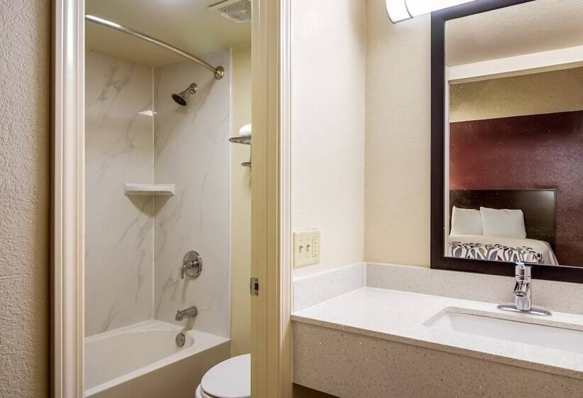 豪华房间, Red Roof Inn Houston East  I10
