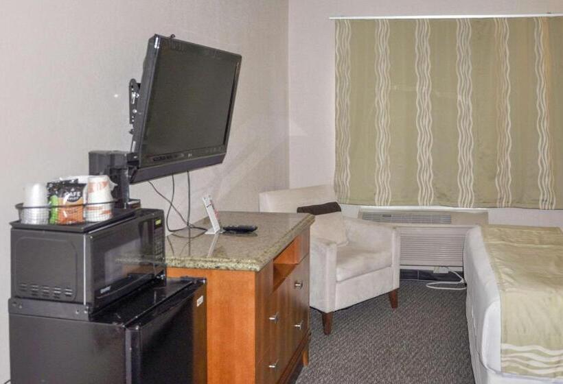 스탠다드 룸, Bison Inn & Suites On University