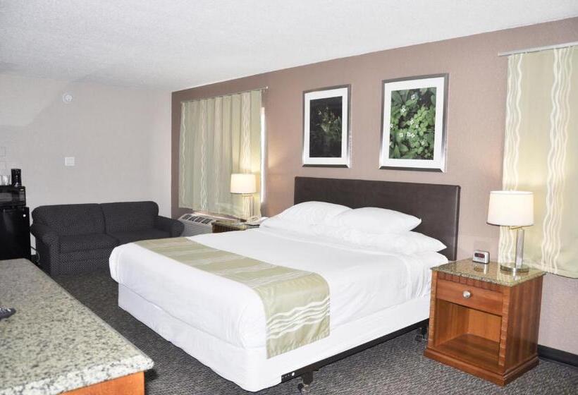 Chambre Standard Lit King Size, Bison Inn & Suites On University