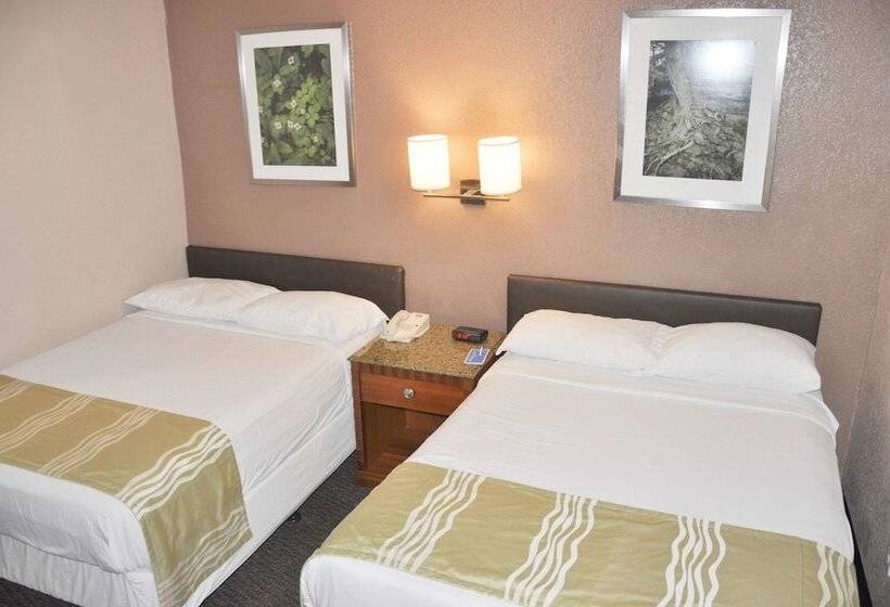 스탠다드 룸 더블 침대 2개, Bison Inn & Suites On University