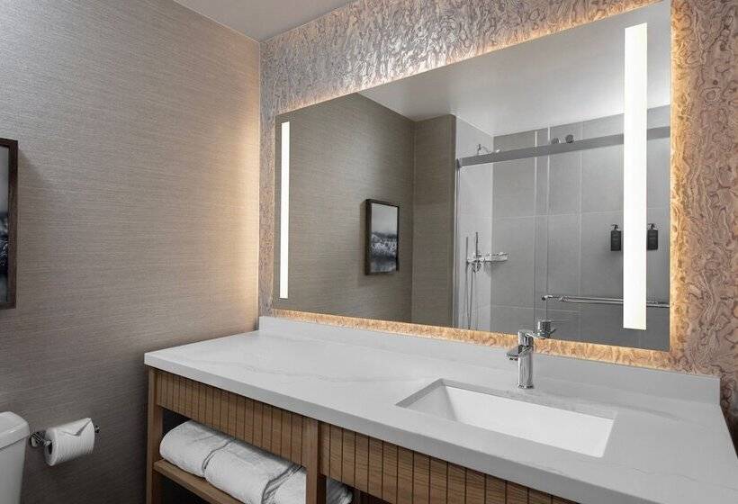 חדר דלוקס עם נוף, Sheraton San Diego Resort