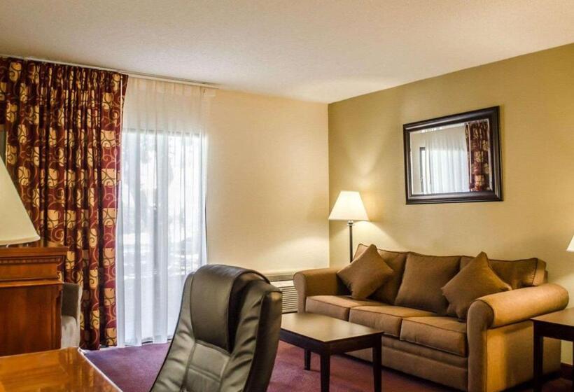 Люкс Кровать Кинг, Quality Inn & Suites Pensacola Bayview