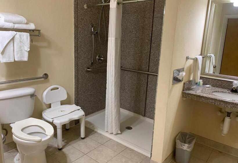 Стандартный Номер Кровать Кинг, Quality Inn & Suites Pensacola Bayview