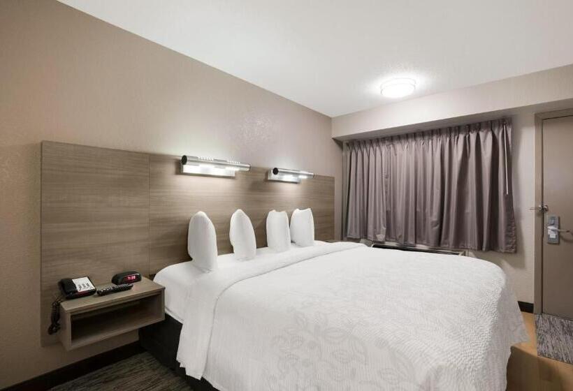 디럭스 룸 킹사이즈 침대, Red Roof Inn Plus+ Chicago   Naperville