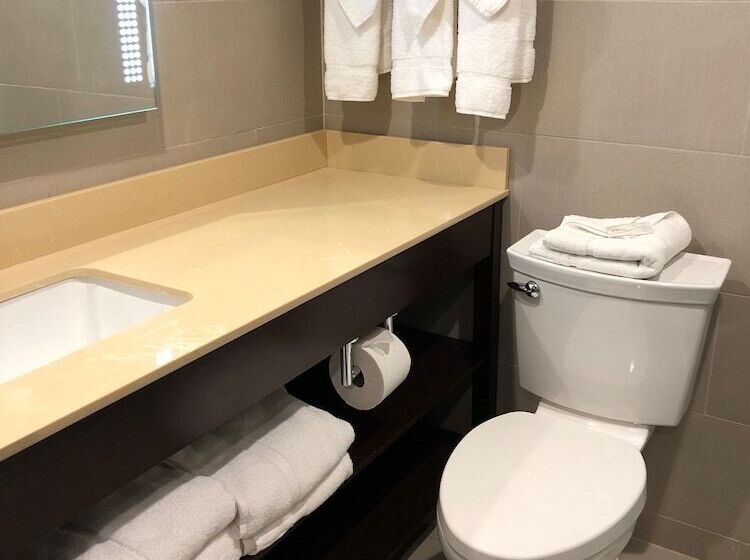 프리미엄 룸, Wyndham Lancaster Resort And Convention Center