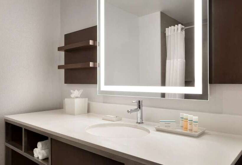 Стандартный Номер Кровать Кинг, Hilton Hasbrouck Heights/meadowlands