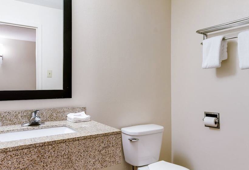 豪华房间, Red Roof Inn York Downtown