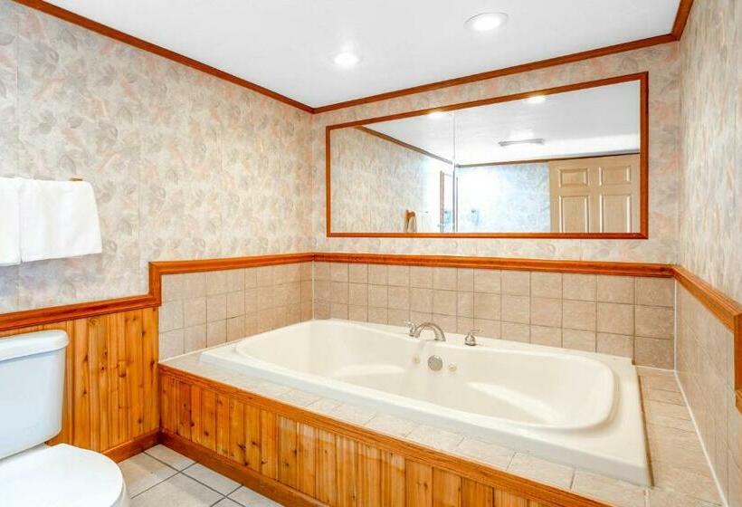 Номер Deluxe Кровать Кинг, Starved Rock Motor Inn Travelodge By Wyndham