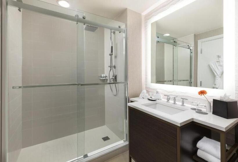 도시 전망 클래식 룸, The Westin New Orleans
