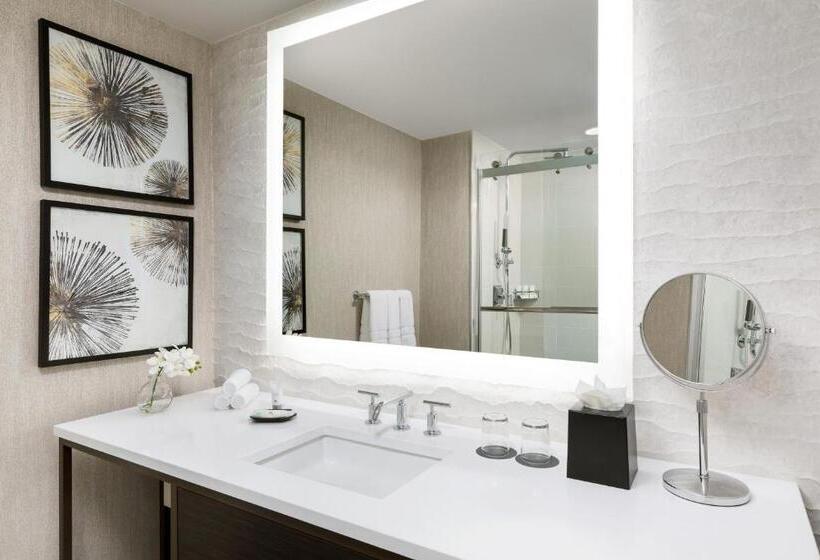 도시전망 디럭스룸 킹침대, The Westin New Orleans