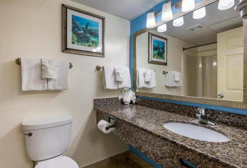 Номер Deluxe Кровать Кинг, Tropical Winds Resort