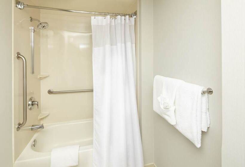 Номер Стандарт 2 Двуспальные Кровати, Courtyard By Marriott Lansing