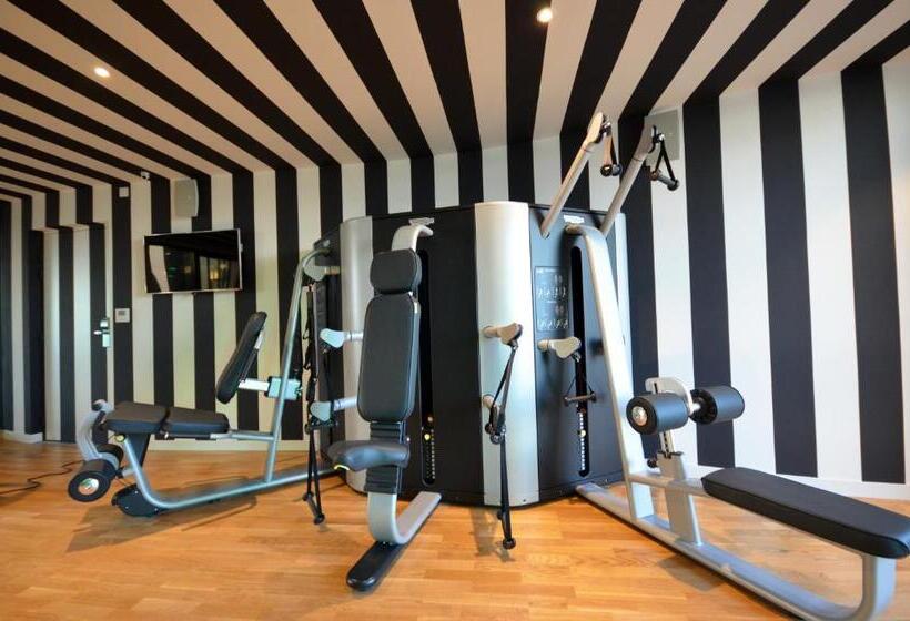Номер Стандарт с доступом в Спа, Holiday Inn Dijon Toison D Or, An Ihg