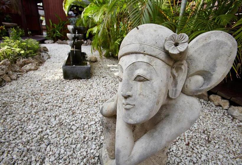 اتاق لوکس با چشم‌انداز باغ, Manchebo Beach Resort And Spa