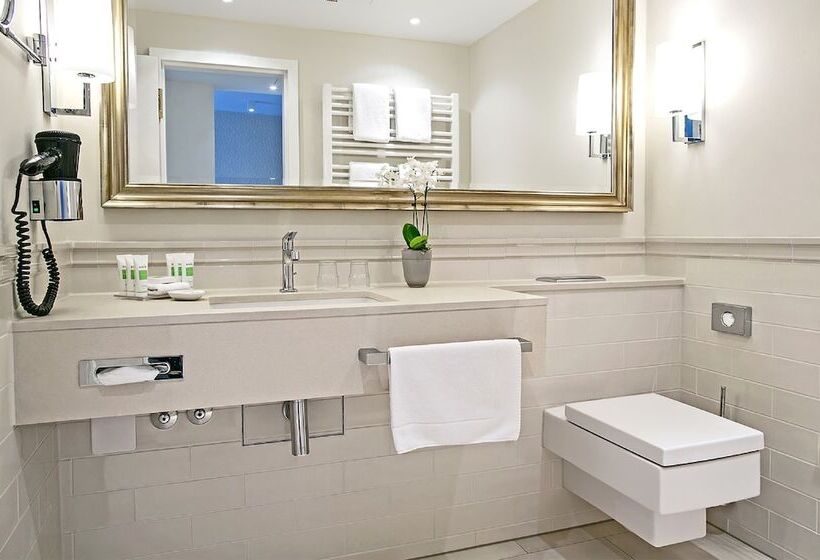 Номер Deluxe Одноместный, Dorint Parkhotel Meißen