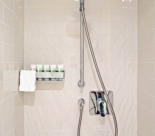 Номер Deluxe, Dorint Parkhotel Meißen