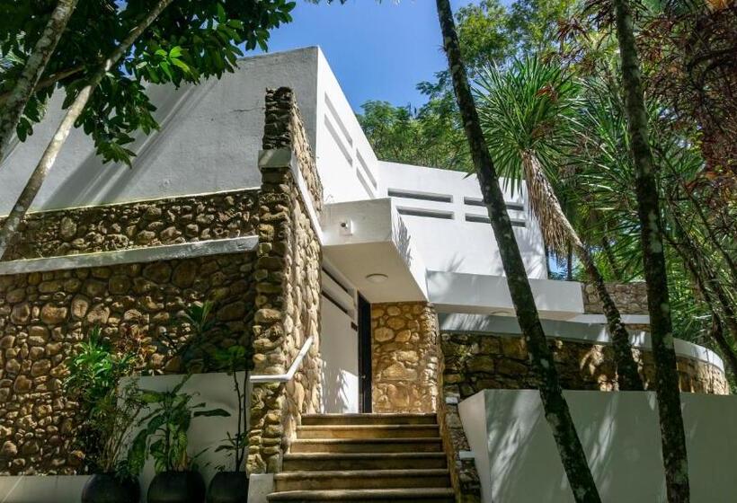 スイート, Nututun Palenque