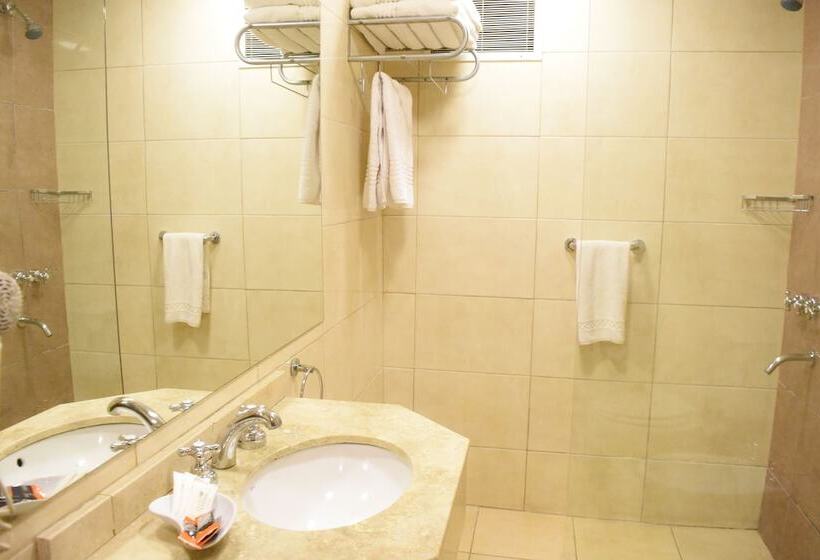 غرفة قياسية, Ritz Hotel Mendoza