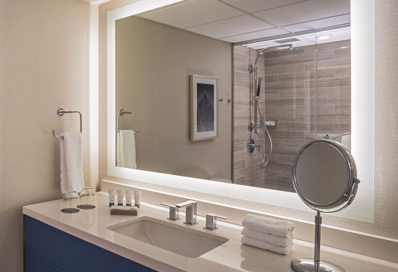 Номер Deluxe, The Westin Oaks Houston At The Galleria